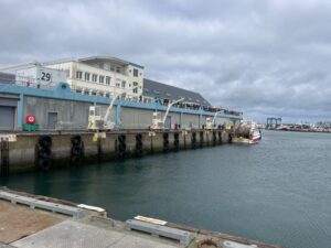 une semaine en Bretagne Sud Haliotika