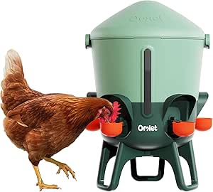 abreuvoir isolé omlet